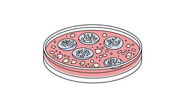 Exploring Cell Culture A Deep Dive into the World of Cellular Cultivation vector
