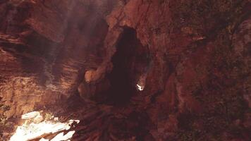 CGI Exploring a rugged canyon with light filtering through rocks video