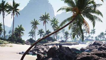 CGI Tropical beach in Tahiti with palm trees and rocky coastline on a sunny day video