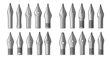 Exploring the Diverse World of Fountain Pen Nibs A Comprehensive Overview of Varieties vector