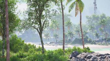 CGI Lush tropical landscape with palm trees and vibrant greenery in Tahiti video