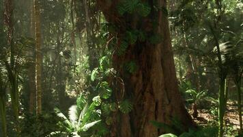CGI Lush jungle in China showcasing a towering tree surrounded by vibrant greenery video