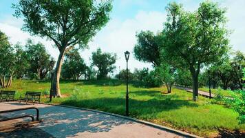 CGI Lush green park with trees and benches on a sunny day in springtime video