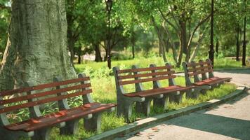 CGI Serene park setting with benches under lush trees in afternoon sunlight video