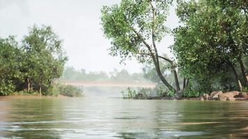 CGI Serene riverbank view with lush greenery and a distant bridge in daylight video