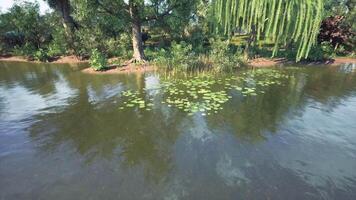 CGI Calm water body with lily pads surrounded by lush greenery on a sunny day video