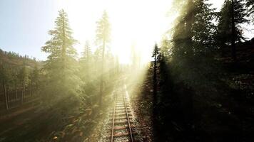 CGI Sunlight filters through trees along a tranquil railway in the forest video