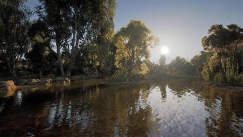 CGI Tranquil water reflection and serene trees in a secluded nature setting video