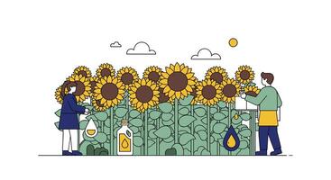 Cultivating Happiness A Visual Depiction of Sunflower Oil Production and Joyful Farming Practices vector
