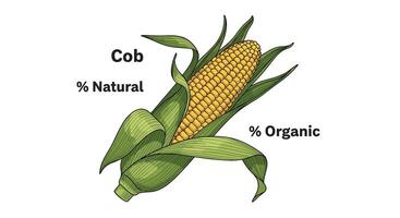 The Nutritional Advantages of Corn and the Essential Minerals for a Healthy Diet vector