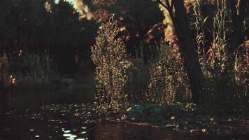 CGI Serene evening by the riverside with lush foliage reflecting in the water video