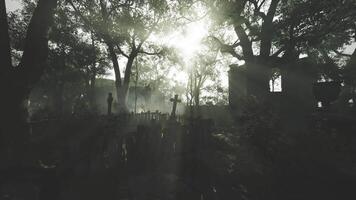 CGI Misty graveyard at dawn with sunlight breaking through the trees video