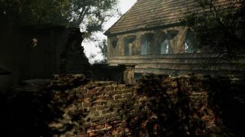 CGI Abandoned stone building surrounded by trees and foliage on a misty day video
