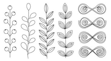 Botanical Illustrations with Different Leaves and Berries on White Background Detailed Line Art vector