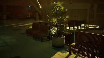 CGI Abandoned terminal with empty seats and a palm in dim light video