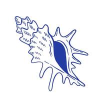 Hand drawn seashell illustration. Minimalist doodle sealife, line art style. vector