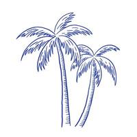 Hand draw palm tree illustration. Summer beach vacation clipart in sketch style vector