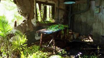 CGI Abandoned room overgrown with plants in a rustic building during daylight video