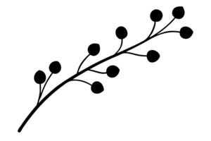 Black Silhouette Delicate Branch Small Berries twig vector