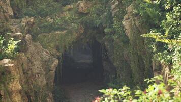 CGI Exploring a lush green cave entrance in Indonesia surrounded by vibrant flora video