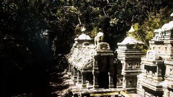 CGI Ancient temple complex in Cambodia surrounded by lush greenery and sunlight video