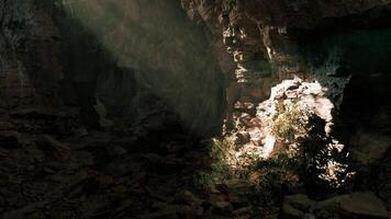 CGI Sunlight filters through a cave opening illuminating greenery inside video