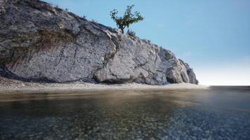 CGI Tranquil shoreline with rocky cliff and solitary tree during calm day video