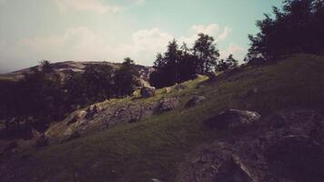 CGI Scenic hillside landscape with rocks and trees under blue sky during daytime video