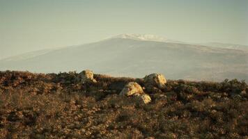 CGI Boulders surrounded by wildflowers with a mountain backdrop during twilight video