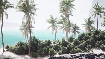 CGI Tropical paradise in the Bahamas with swaying palm trees and turquoise waters video