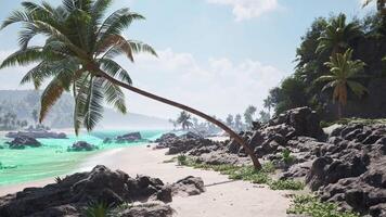 CGI Relaxing beach view in Tahiti with palm trees, rocky shore, and turquoise water video