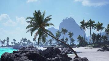 CGI Tropical beach in Tahiti with leaning palm trees and rocky shoreline views video