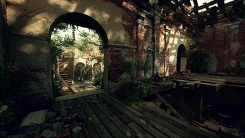 CGI Exploring the overgrown ruins of an old European mansion on a sunny day video