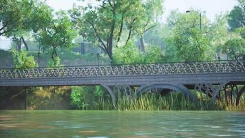 CGI A serene park bridge surrounded by lush greenery on a sunny day video