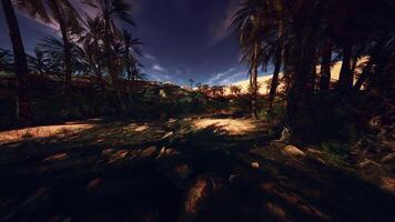CGI Lush palms by a serene oasis under a twilight sky in a desert landscape video