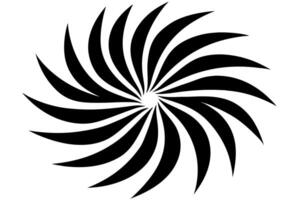 A black and white image of a spiral vector
