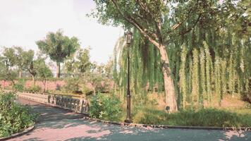 CGI A peaceful park setting with lush greenery and a serene pathway in sunlight video