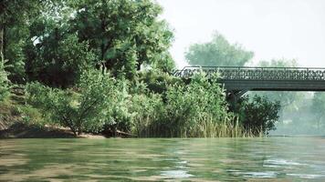 CGI A serene riverside landscape with a bridge surrounded by lush greenery video