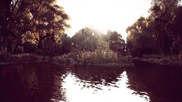 CGI The early morning sun casts a warm glow on a tranquil river video