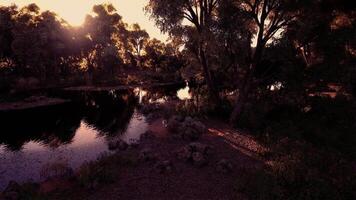 CGI Serene river landscape at sunset with lush trees and reflective water video