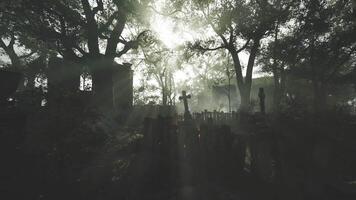 CGI Eerie sunlight filters through trees in a misty graveyard at dawn video