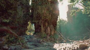 CGI Majestic limestone cliffs and serene stream in Thailands lush wilderness video