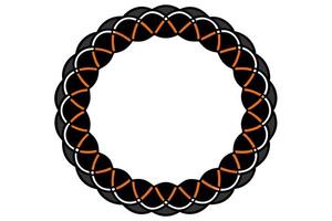 A black and orange oval with a border vector