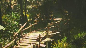 CGI Ancient wooden footbridges by aborigines nestled in dense jungle growth video