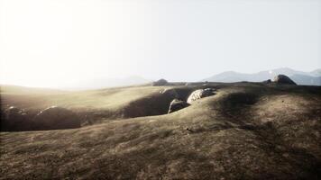 CGI Sunlit serene landscape with rolling hills and rocky outcrops video