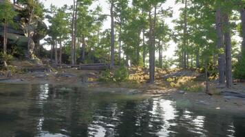 CGI Tranquil forest lake reflecting sunlight under a clear blue sky at dawn video
