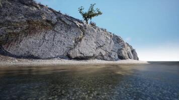 CGI Serene coastal view showcasing rocky shoreline and solitary tree at midday video