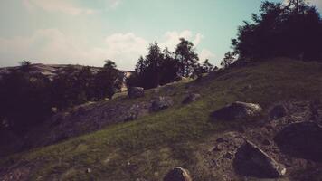 CGI Scenic hillside with rocks and trees under a cloudy sky in the afternoon video