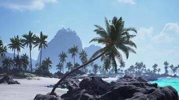 CGI Swaying palm trees on a serene beach in Tahiti under a clear blue sky video
