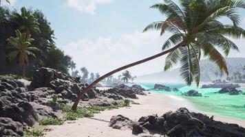 CGI Tropical beach in Tahiti with leaning palm trees and crystal clear waters video